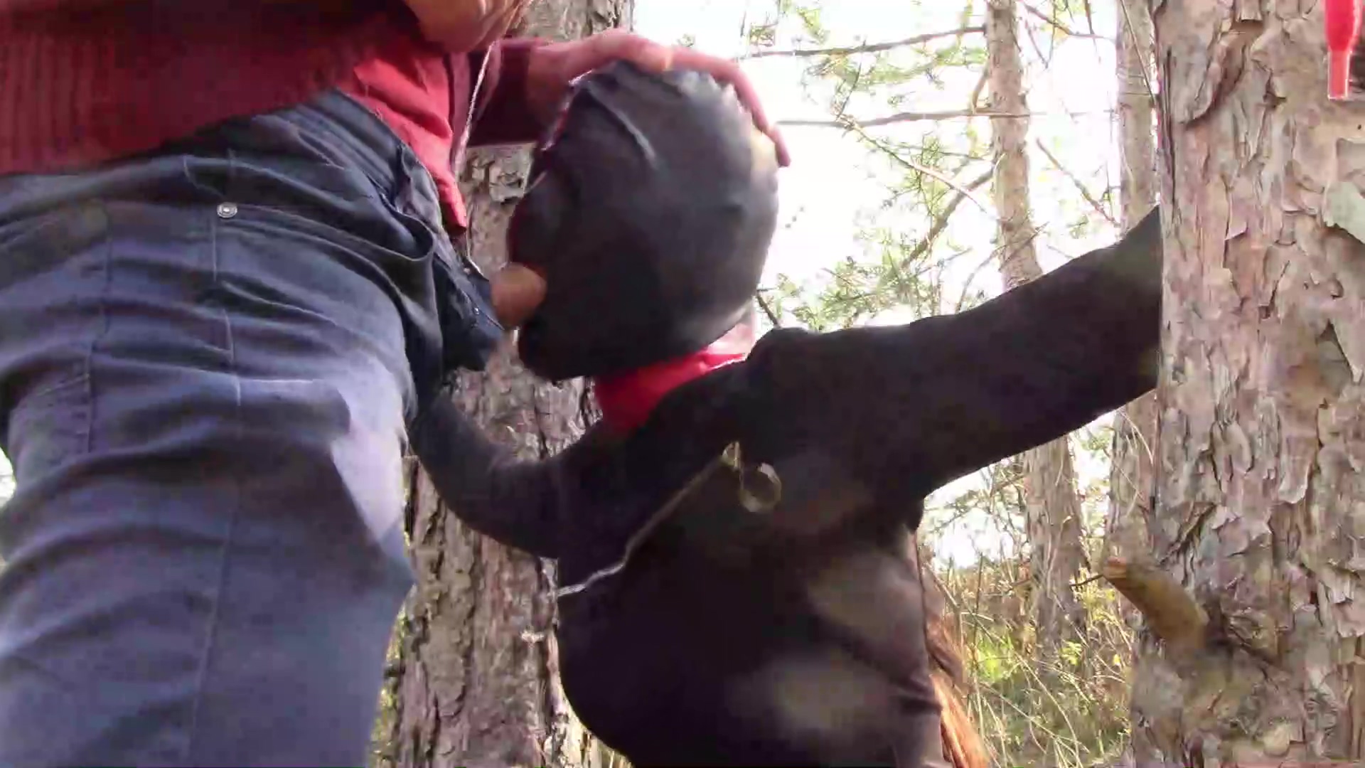 Tied To A Tree On A Sexy Outfit Masked And Outdoor Deepthroat With No Mercy
