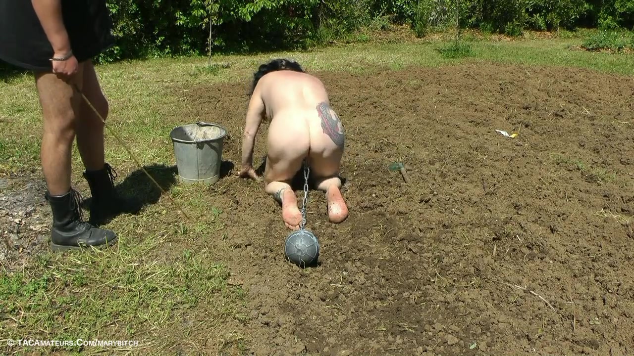 Outdoor Work & Punishment Pt1 - TacAmateurs
