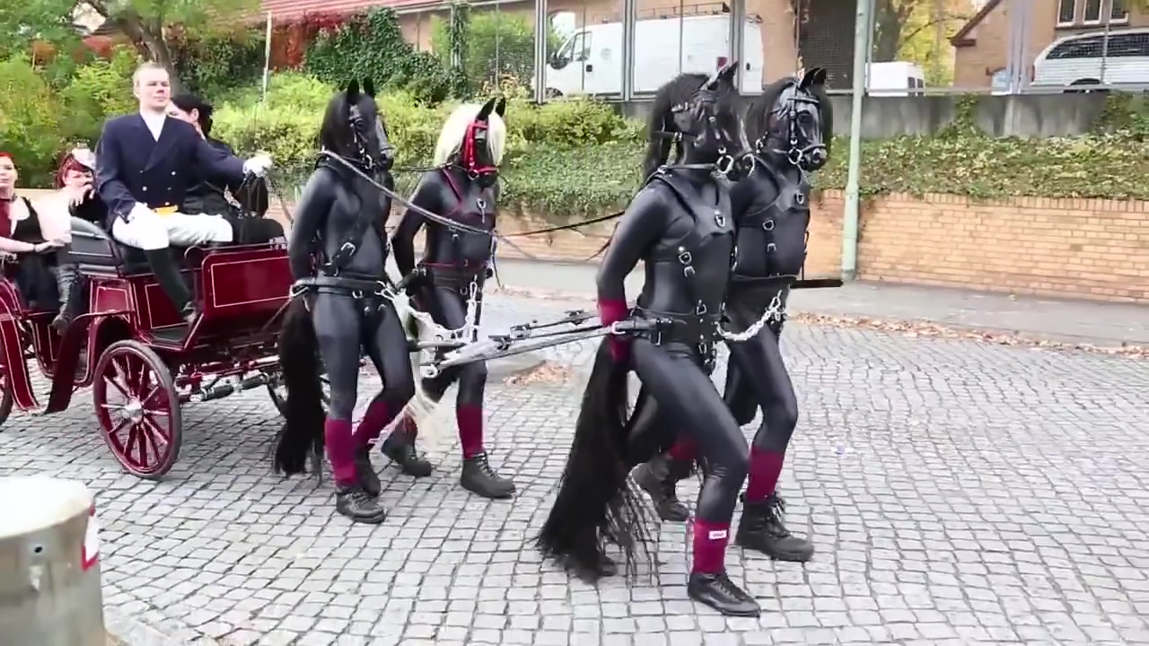 ponygirls and ponyboys outdoor
